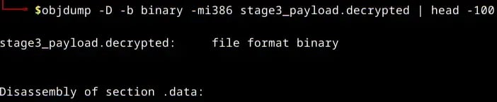 packetwatch-figure-15-objdump