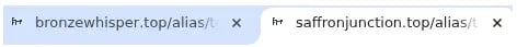 packetwatch-figure-22-favicon-validation