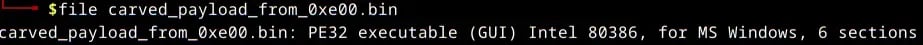 packetwatch-figure-25-file-type-new-binary